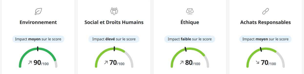 EcoVadis_Flokk_Score